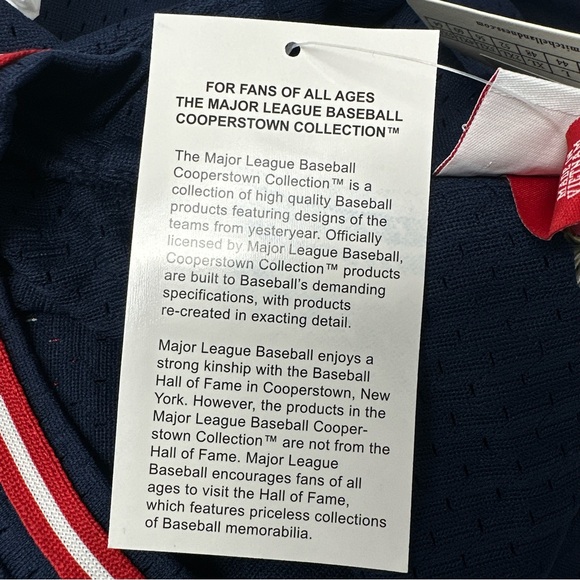 Mitchell & Ness 1985 Minnesota Twins Kirby Puckett Jersey - Picture 8 of 13